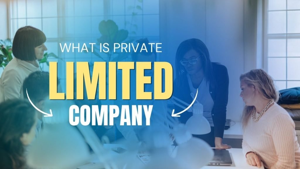 Business partners discussing partnership firm registration documents