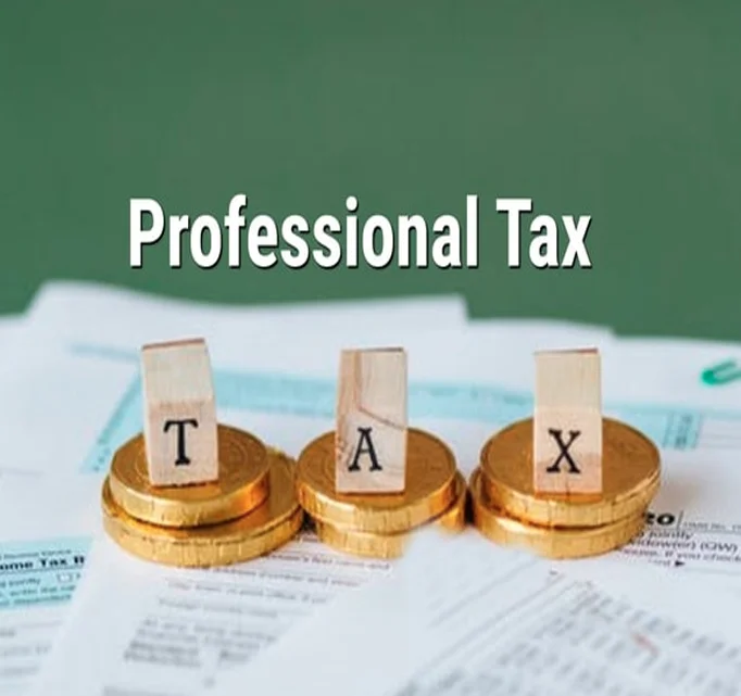 Dedicated CA expert for partnership firm