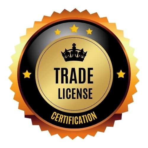 Dedicated CA expert for partnership firm