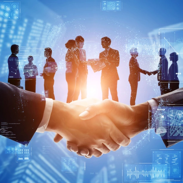 Dedicated CA expert for partnership firm
